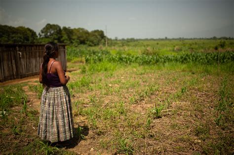 mujeres desnudas en el campo|desnudas en el campo Search